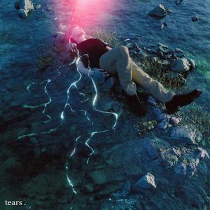 鲁大师在线观看日本影片
