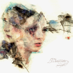 鲁大师在线观看日本影片
