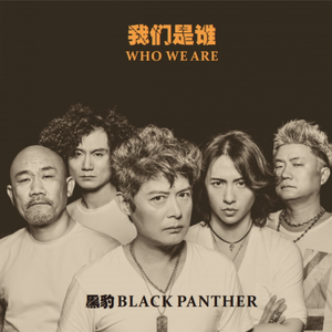 鲁大师在线观看日本影片
