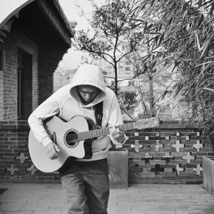 鲁大师在线观看日本影片
